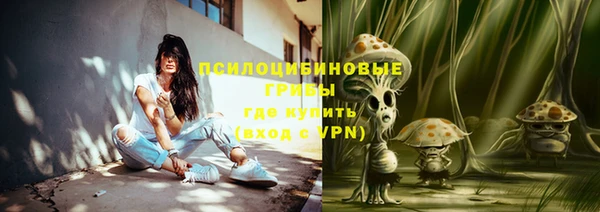 дурь Абаза