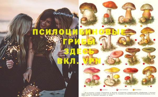 кокс Абинск