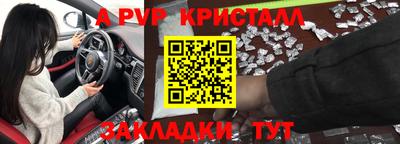 шишки Новокубанск