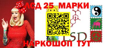 шишки Новокубанск