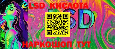 шишки Новокубанск