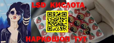 шишки Новокубанск