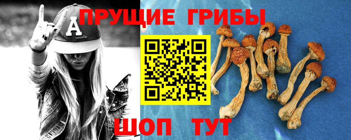 Ялуторовск  Псилоцибиновые грибы ЛСД  Вход с VPN 