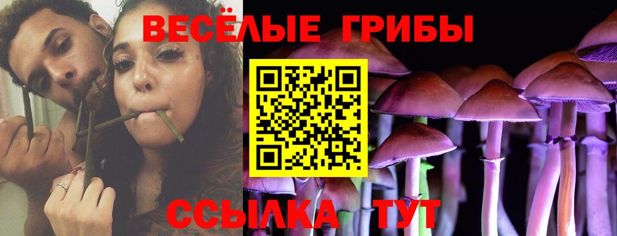 Галлюциногенные грибы мицелий Ялуторовск